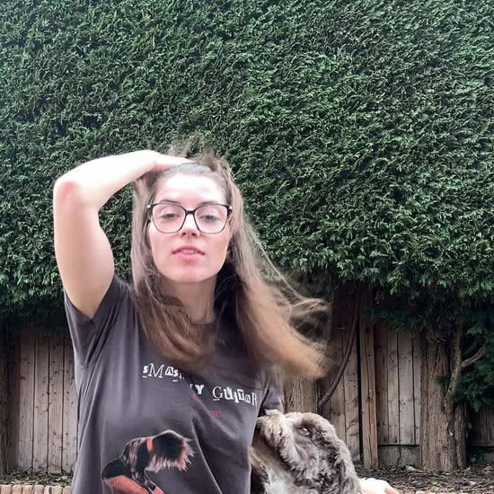 DOGGIES + MERCH
